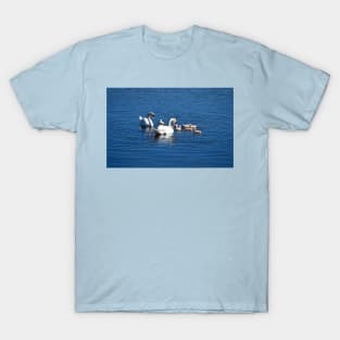 Swan Family T-Shirt